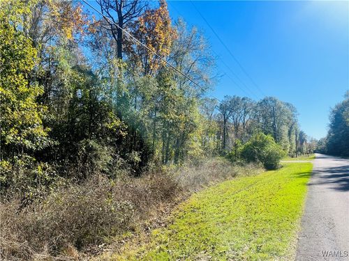 LOT #17 Roebuck Landing Road, Akron, AL, 35441 | Card Image