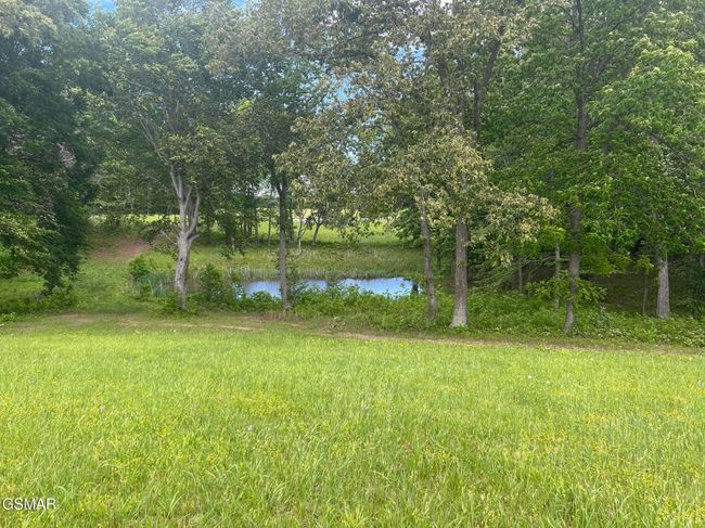 2526 Sunset Blvd, Home with 0 bedrooms, 0 bathrooms and null parking in White Pine TN | Image 13