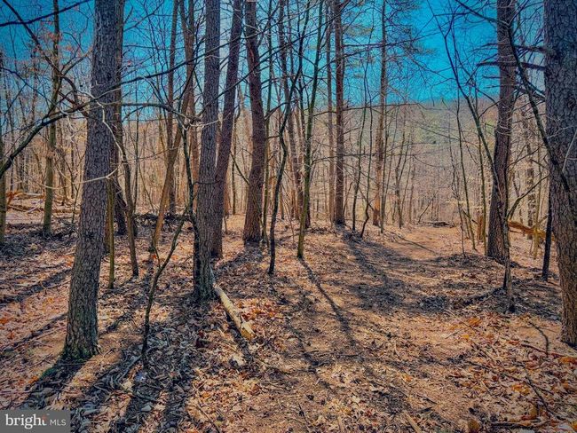 0 Mahanoy Valley Rd, Home with 0 bedrooms, 0 bathrooms and null parking in DUNCANNON PA | Image 24