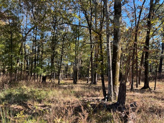 Land in Broken Bow 3