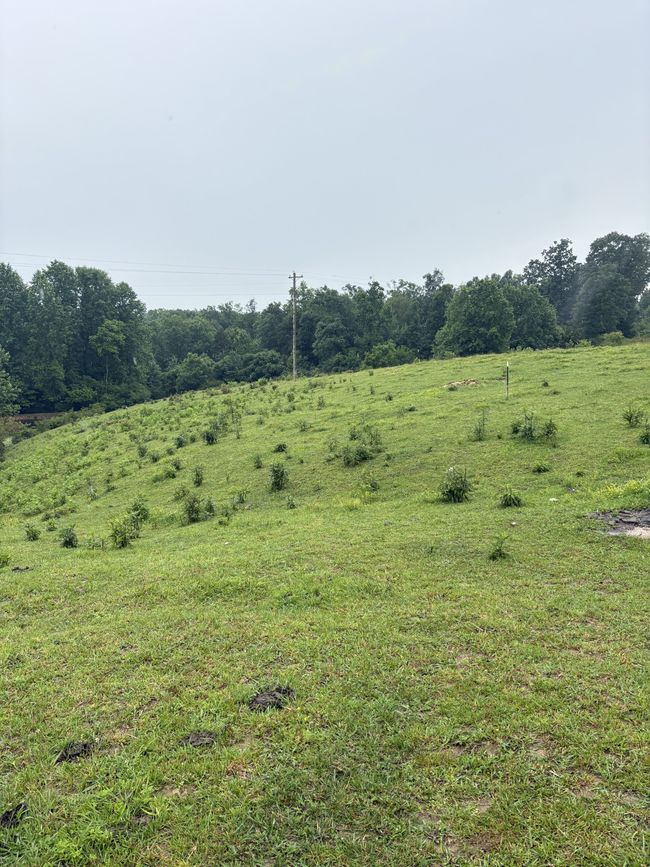 1813 Lafayette Rd, Home with 0 bedrooms, 0 bathrooms and null parking in Red Boiling Springs TN | Image 5