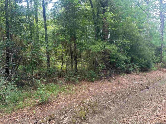 26.85 Acres Heritage Acres Ln, Home with 0 bedrooms, 0 bathrooms and null parking in Robert LA | Image 14