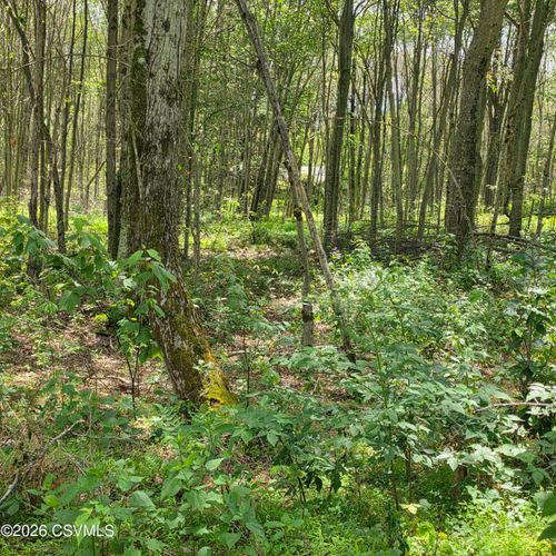 LOT 2 Pioneer Trail, Muncy Valley, PA, 17758 | Card Image