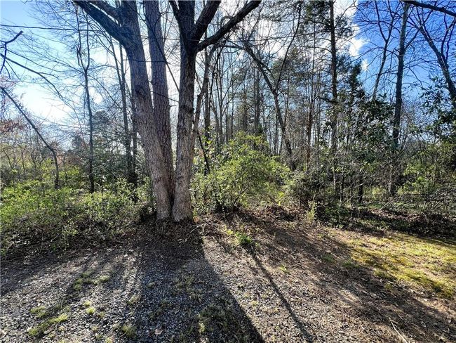 101 N Wilson St, House other with 4 bedrooms, 2 bathrooms and null parking in Madison NC | Image 5