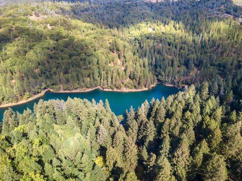 3765 Deer Canyon Rd, Placerville, CA, 95667-8393 | Card Image