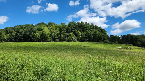 tract-17-albany-woods-34978 State Route 681 S, Albany, OH, 45710-8963 | Card Image