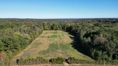 10 Hayes Ridge Rd, Indian Mound, TN, 37079 | Card Image