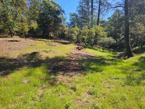 19730 Wedemeyer Pl, Colfax, CA, 95713-8805 | Card Image