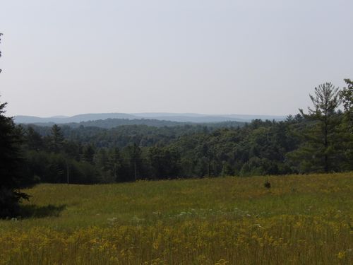 243 Mountain View Dr, Deer Lodge, TN, 37726 | Card Image