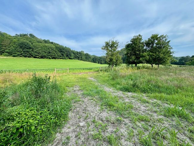 E13758 Highway 82, House other with 4 bedrooms, 2 bathrooms and null parking in Stark WI | Image 36