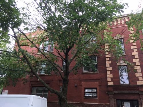 1-2906 Greenview Ave, Chicago, IL, 60657-7374 | Card Image