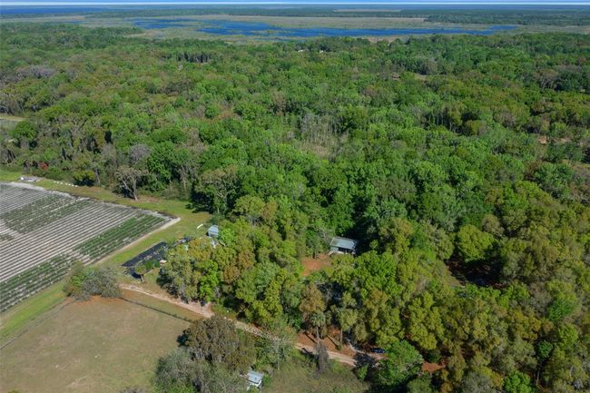 2005 Ne 185 Th St, House other with 3 bedrooms, 2 bathrooms and null parking in CITRA FL | Image 59