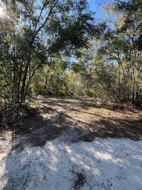 TBD Ne 808th St, Old Town, FL, 32680 | Card Image