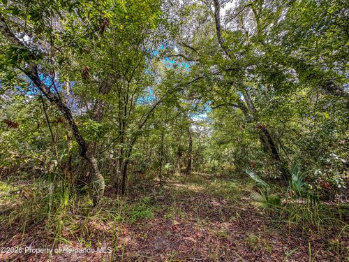 0 Old Hunter Rd, Brooksville, FL, 34601 | Card Image
