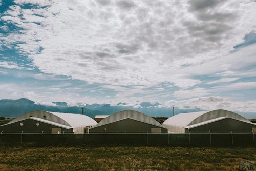 713 Mayor Patricia Reigal Blvd, Moffat, CO, 81143-5022 | Card Image