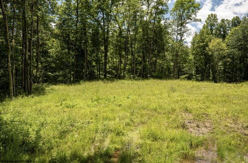 Lot 20 Lake Island Dr, Belington, WV, 26250 | Card Image