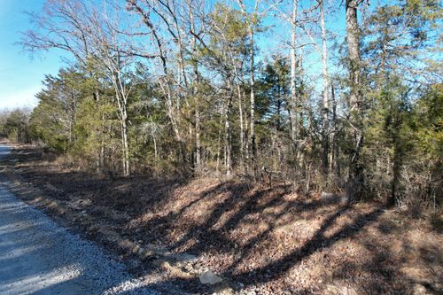 000 County Road 904, Theodosia, MO, 65761 | Card Image