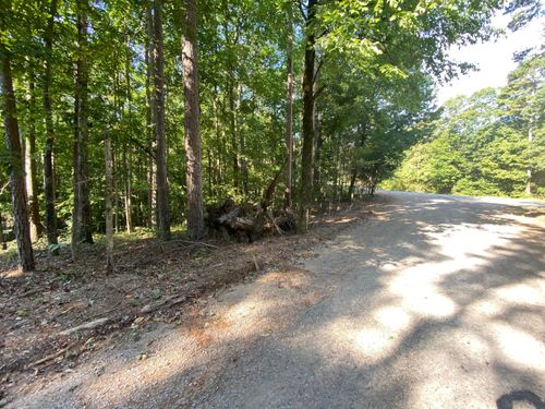65 Lilly Taylor Rd, Pocahontas, TN, 38061-4205 | Card Image