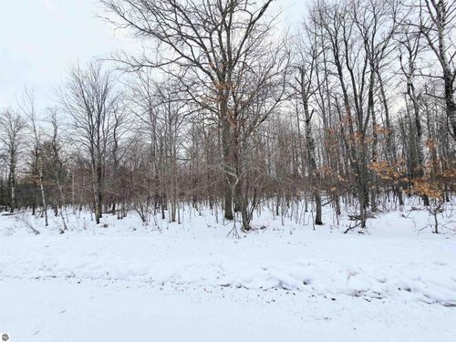 6 Fairway Court, Grayling, MI, 49738 | Card Image