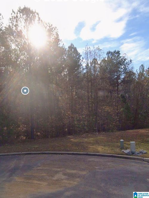 21-7703 Deer Trl, TRUSSVILLE, AL, 35173-3902 | Card Image
