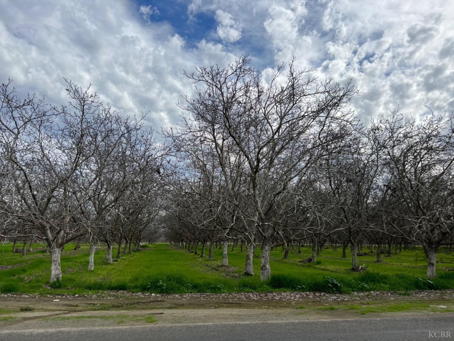 Farm in Lemoore 2