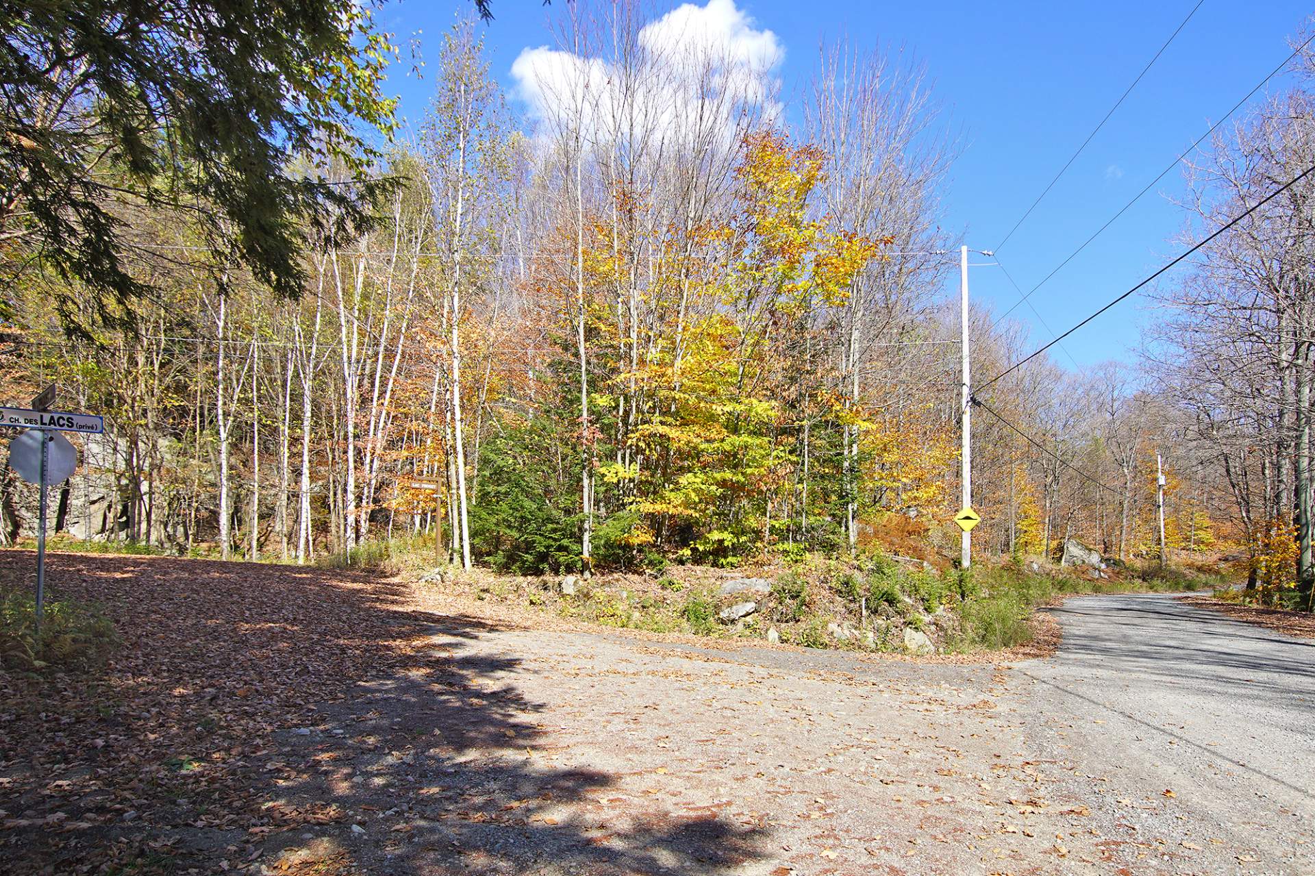 Land in Wentworth