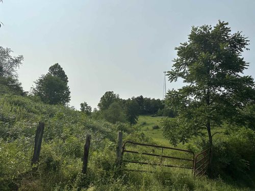 TBD Slab Camp Rd, French Creek, WV, 26218 | Card Image