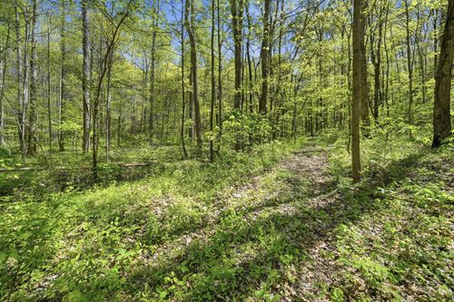 0 Green Rd, Beechgrove, TN, 37018 | Card Image