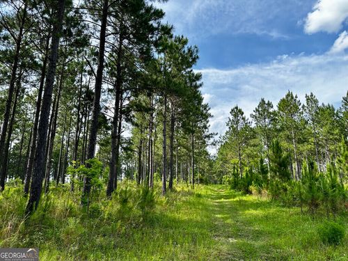 0 Old Prison Camp Rd, Mc Rae Helena, GA, 31055 | Card Image
