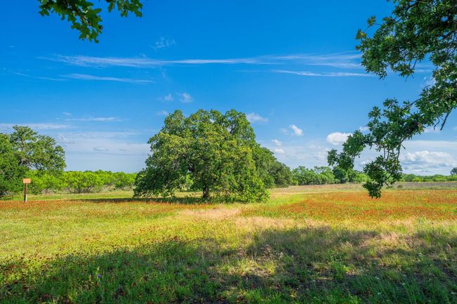 13315 N State Highway 16, Home with 3 bedrooms, 3 bathrooms and null parking in Llano TX | Image 24