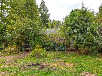 View of front yard | Image 2