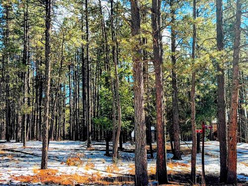 Lot 6 Broadmoor Way, Angel Fire, NM, 87710-8122 | Card Image