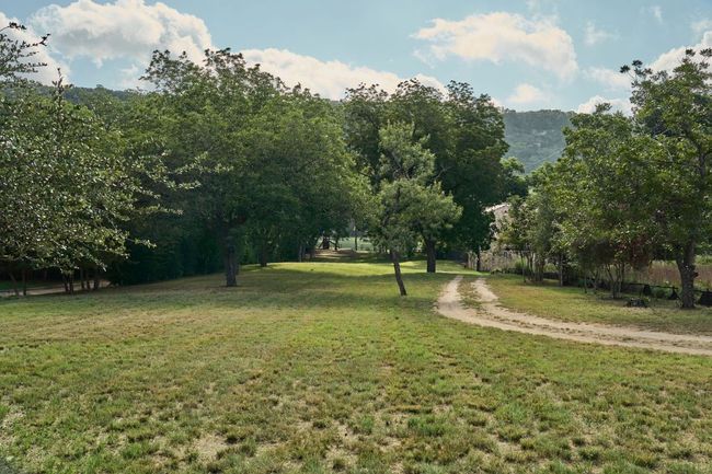 View of grassy yard | Image 12