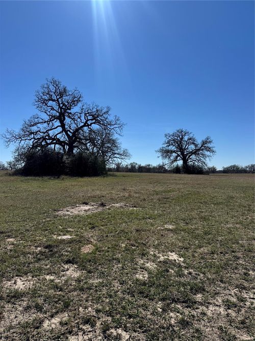 TBD Connor Landing Ct, Madisonville, TX, 77864 | Card Image