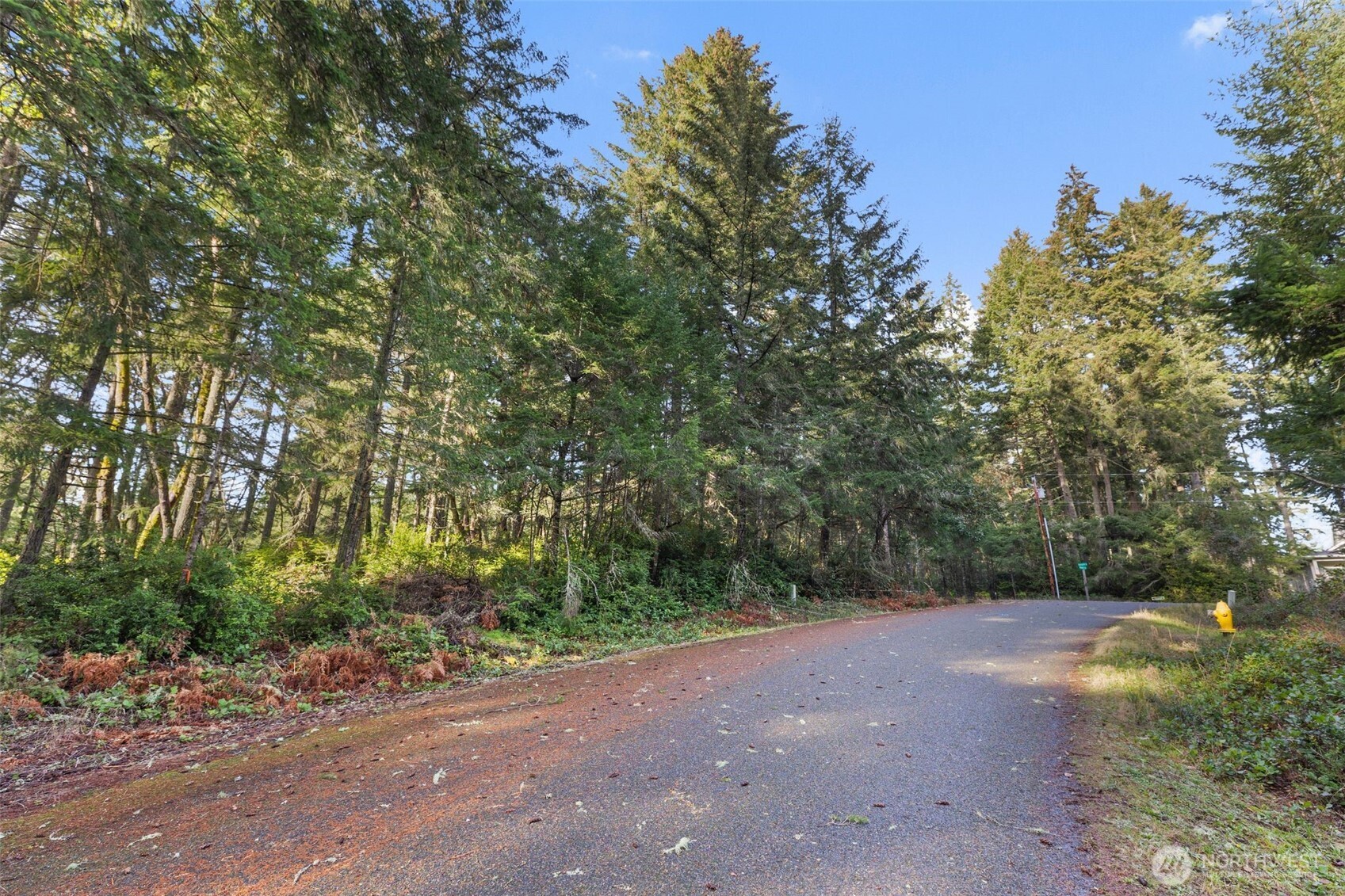 Land in Anderson Island 2