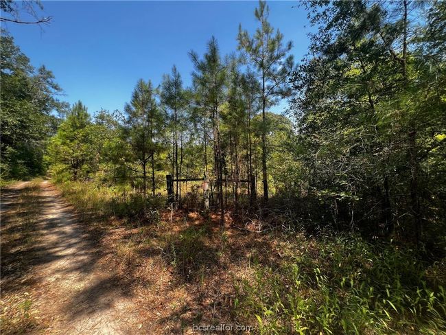 30 Fm 1486, Home with 0 bedrooms, 0 bathrooms and null parking in Richards TX | Image 13