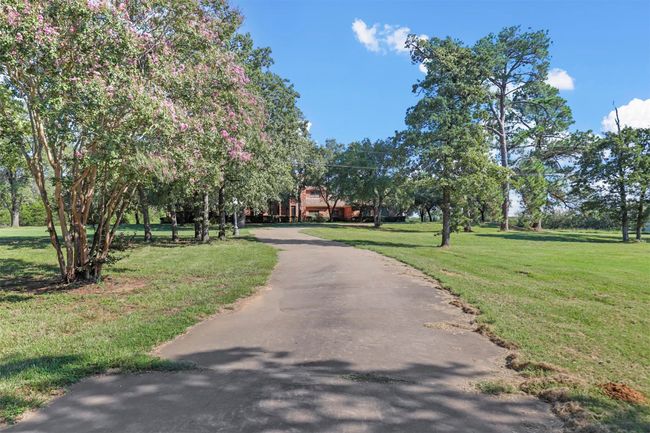 View of street | Image 5