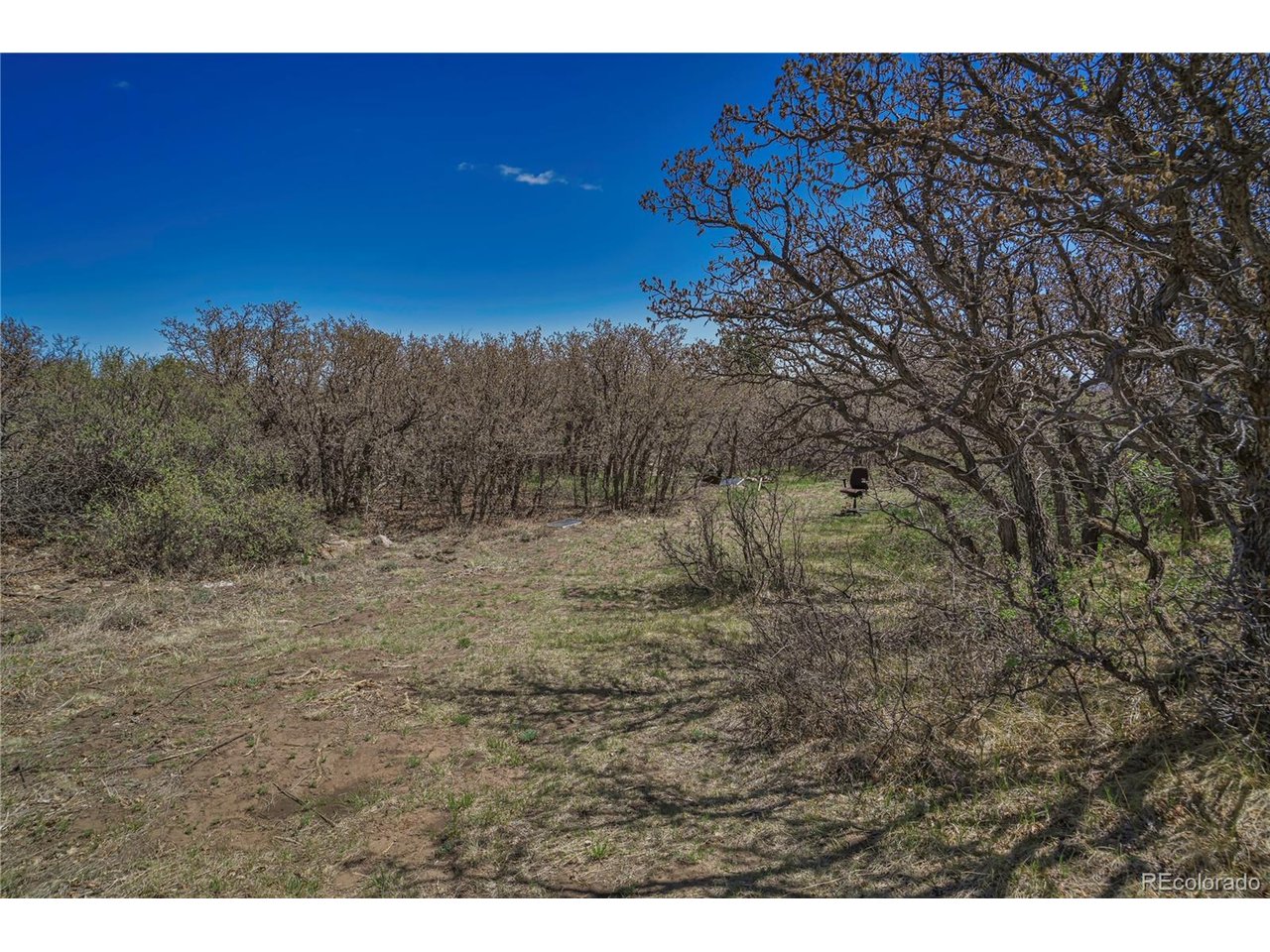 Land in Walsenburg 4