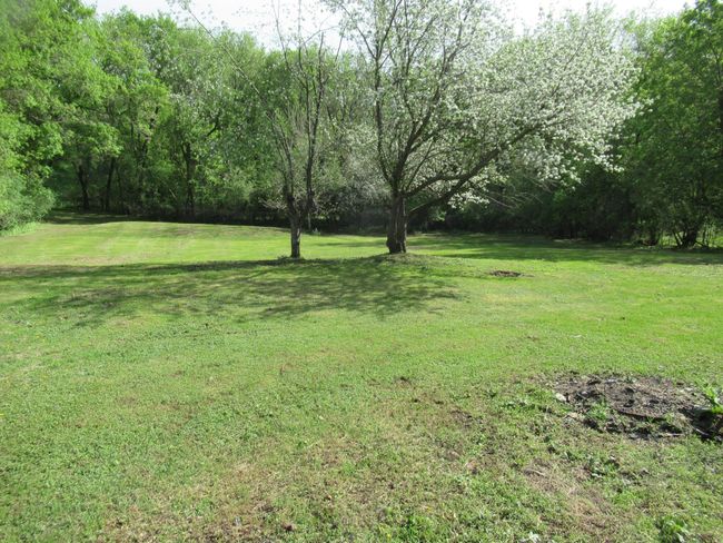 Backyard 3.JPG | Image 7
