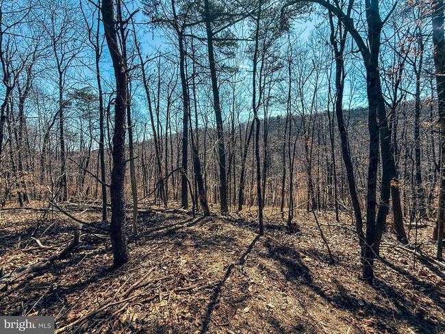 0 Mahanoy Valley Rd, Home with 0 bedrooms, 0 bathrooms and null parking in DUNCANNON PA | Image 28