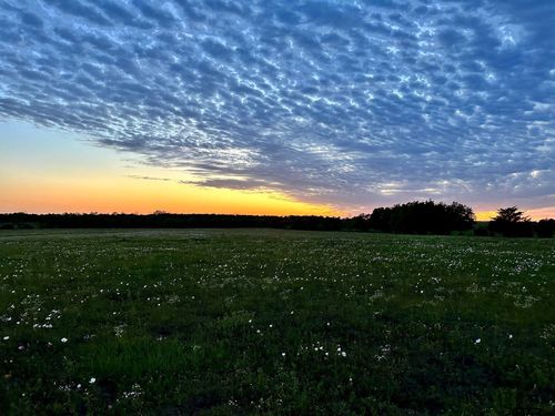 TBD County Road 24960, Brookston, TX, 75421 | Card Image