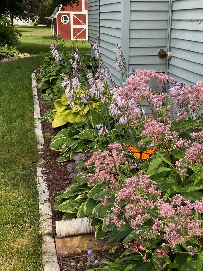 Northwest landscape | Image 45
