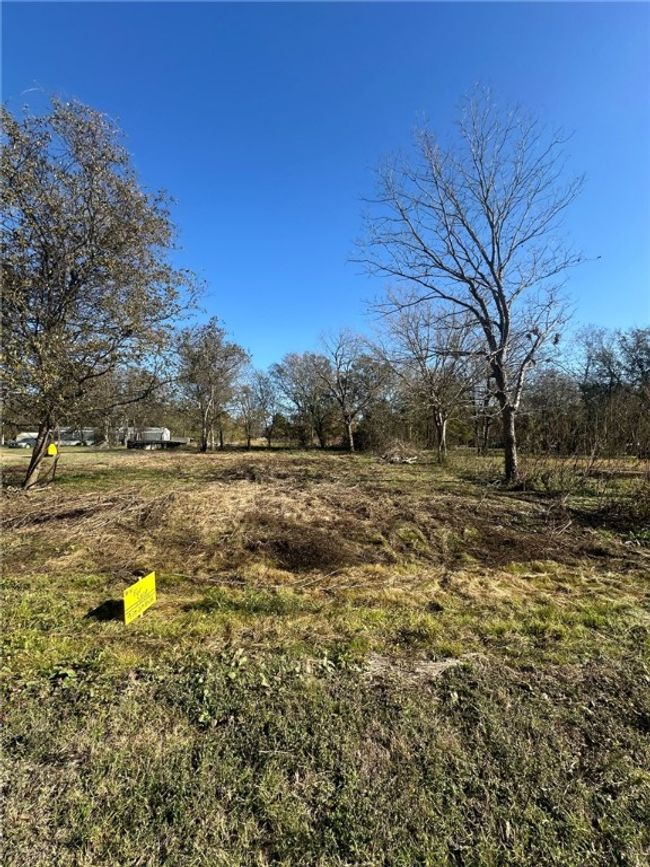 View of yard | Image 5