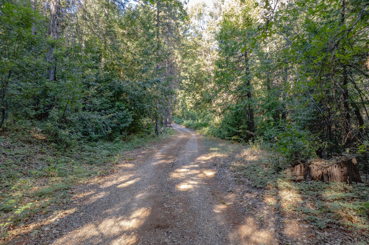 Land in Camptonville 3