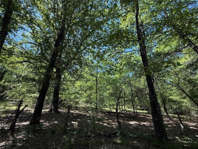 72 Acres N Farm Road 900, Home with 0 bedrooms, 0 bathrooms and null parking in Saltillo TX | Image 33