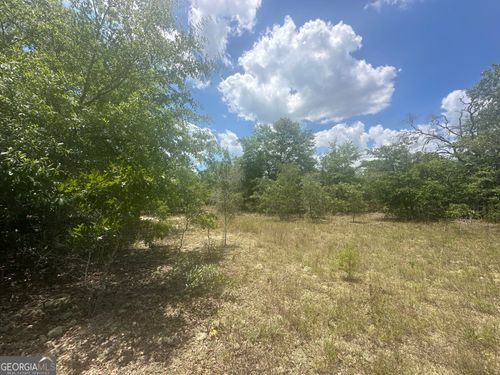 232-acres-0 Hollie St, BUTLER, GA, 31006 | Card Image