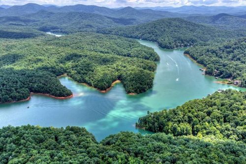 LT 60 Necowa Cove Overlook, Blue Ridge, GA, 30513 | Card Image