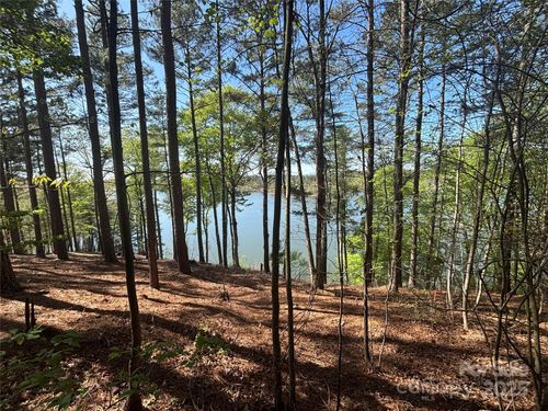 26-1036 Tranquil Cove Ct, Connelly Springs, NC, 28612-8587 | Card Image