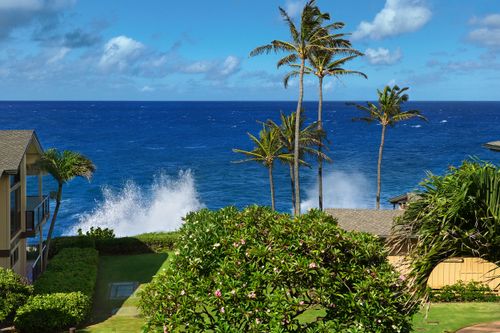 iia312-1661 Pee Rd, KOLOA, HI, 96756-9593 | Card Image