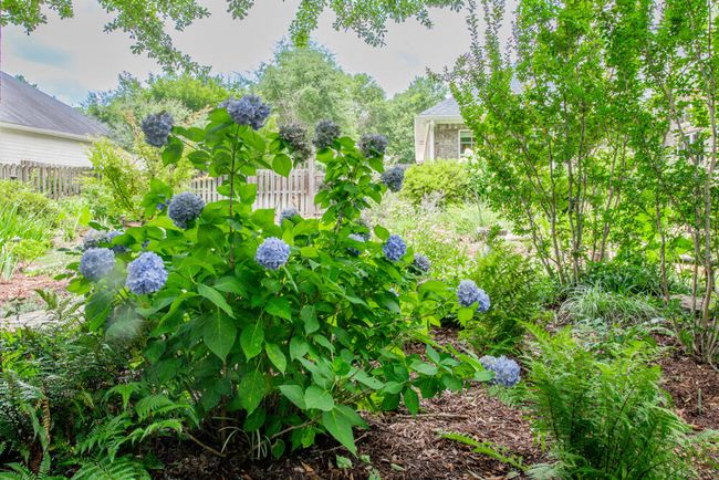 3039 Tarleton Ct, House other with 4 bedrooms, 3 bathrooms and null parking in Beech Island SC | Image 36